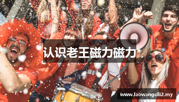 认识老王磁力磁力